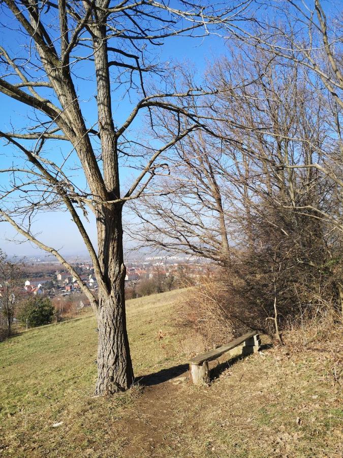 Ferienwohnung Weisses Ross Pirna Exterior foto