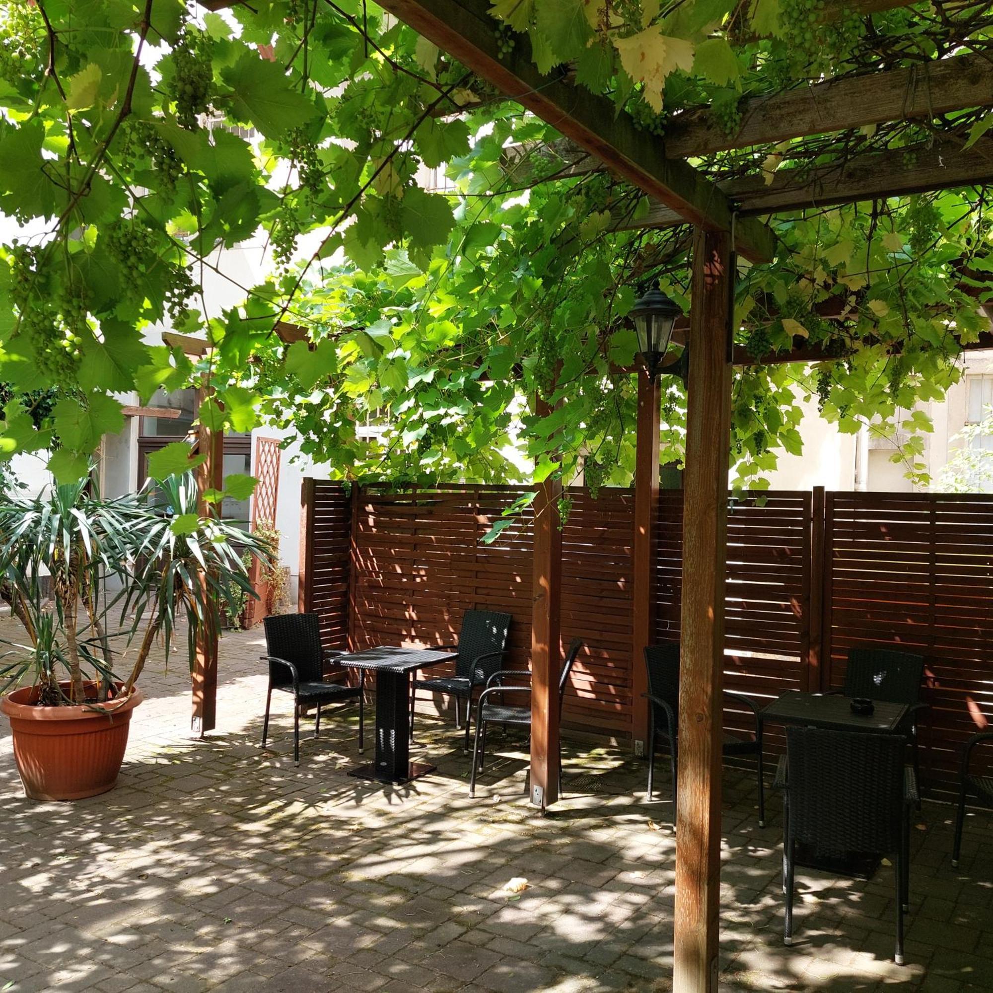 Ferienwohnung Weisses Ross Pirna Exterior foto
